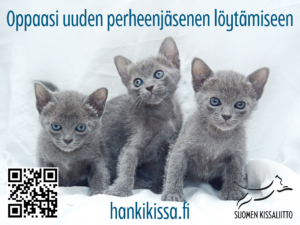 hankikissa.fi
